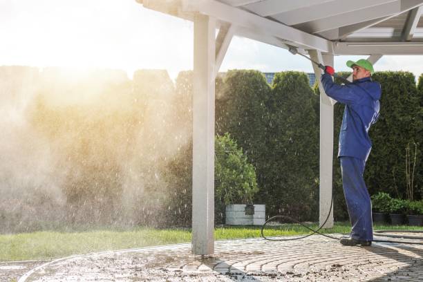 Best Gutter Cleaning  in Shavano Park, TX